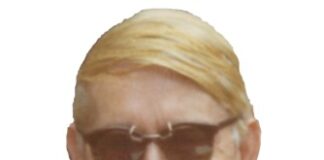 Werner Karl Georg Moebes