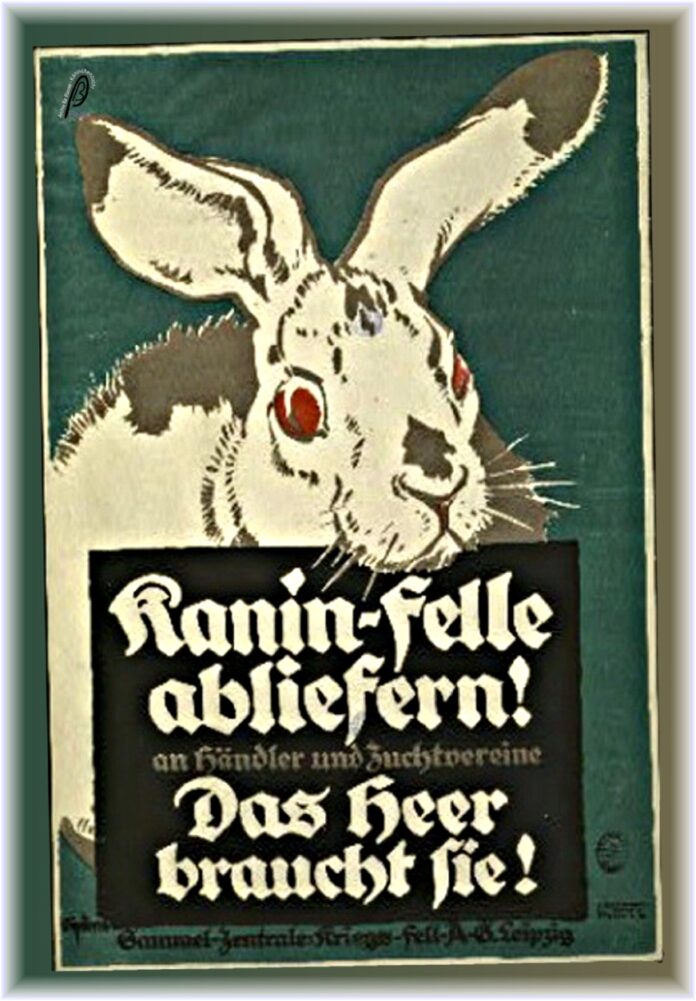 1. WK - Kanichenfelle abgeben