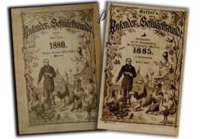 Bild 03 zu alle Jahre wieder