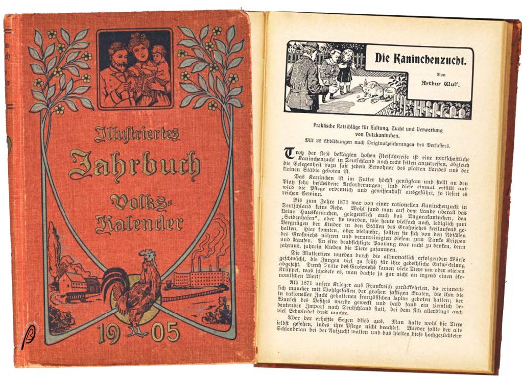 Bild 06 zu alle Jahre wieder