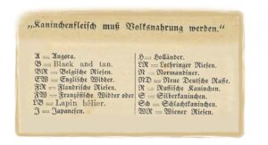 Bild 09 zu alle Jahre wieder