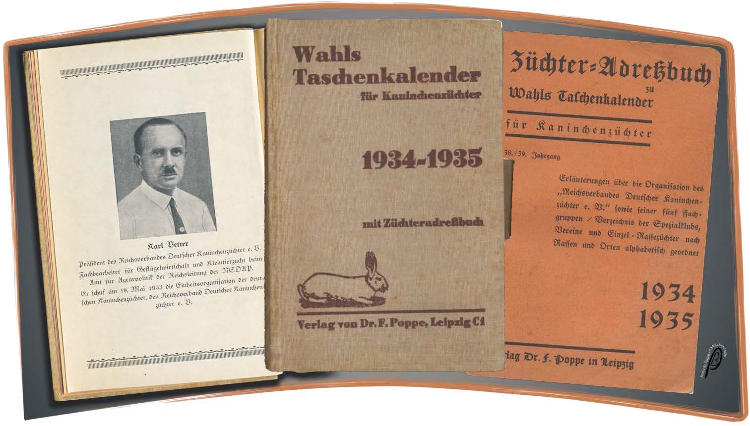 Bild 10 zu alle Jahre wieder