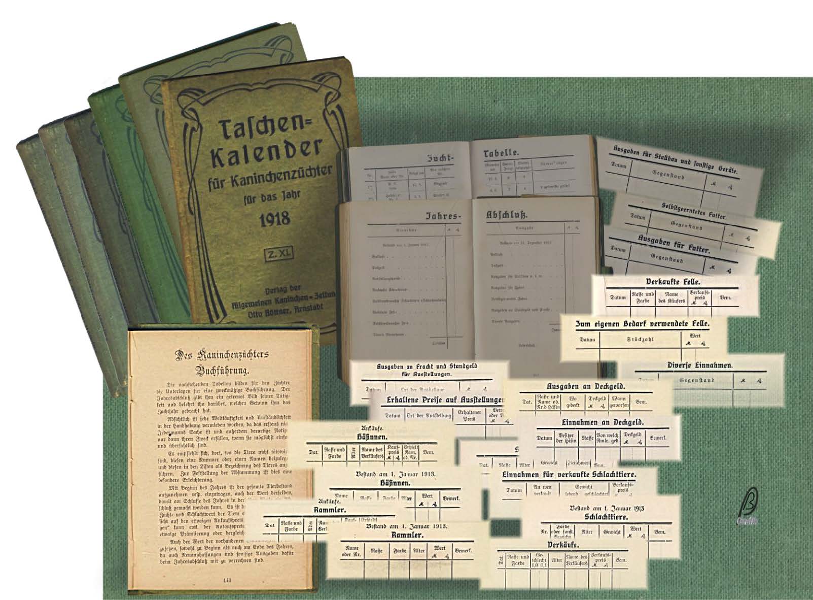 Bild 17 zu alle Jahre wieder