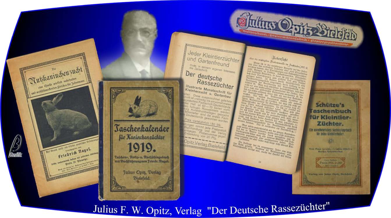 Bild 19 zu alle Jahre wieder