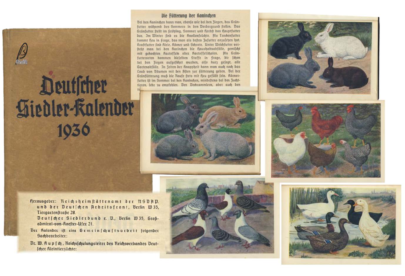 Bild 20 zu alle Jahre wieder