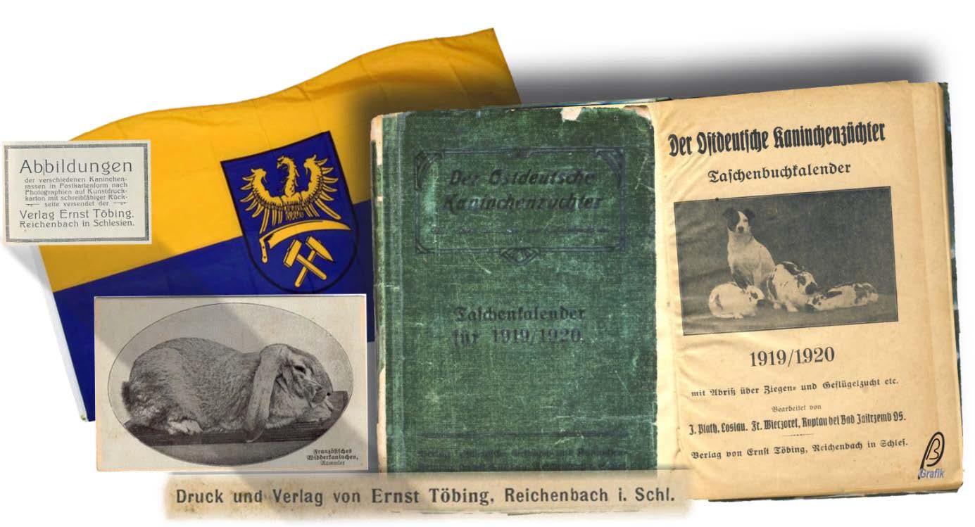 Bild 23 zu alle Jahre wieder