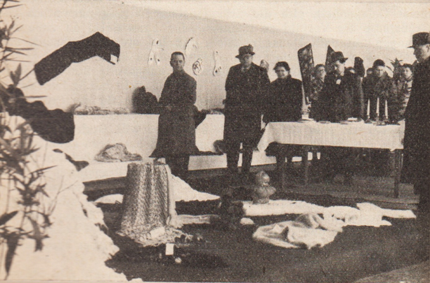 Bild 02 - Siehe Beitrag