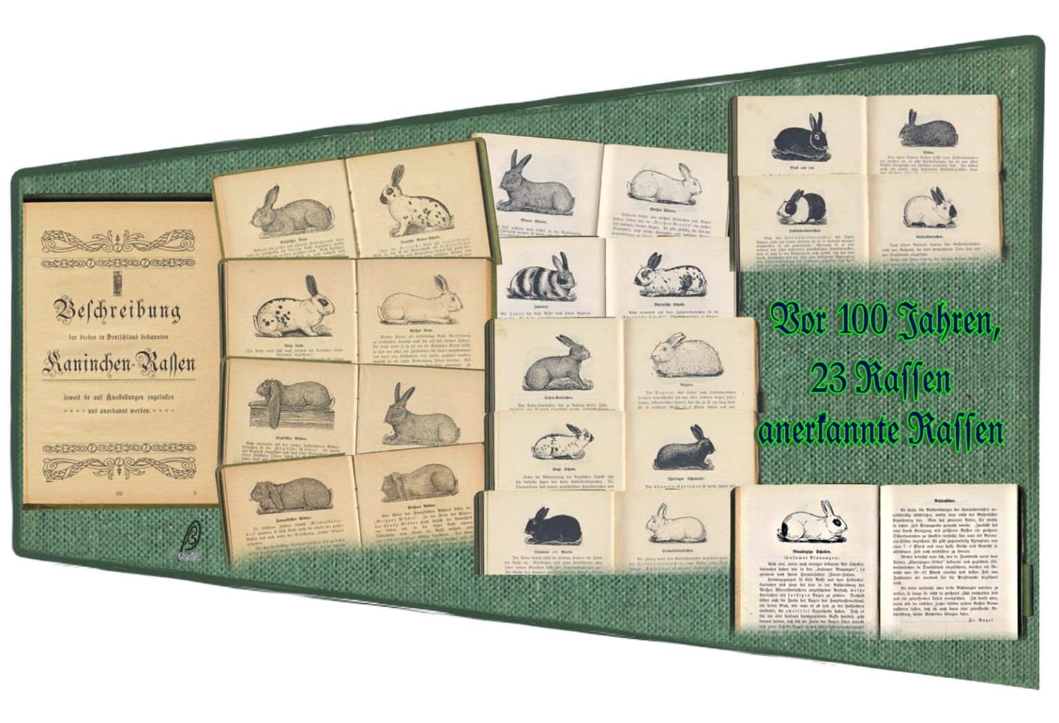 Bild 18 zu alle Jahre wieder