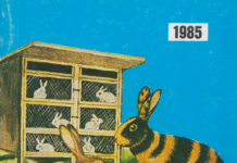 Allgemeines über Krankheiten und deren Bekämpfung