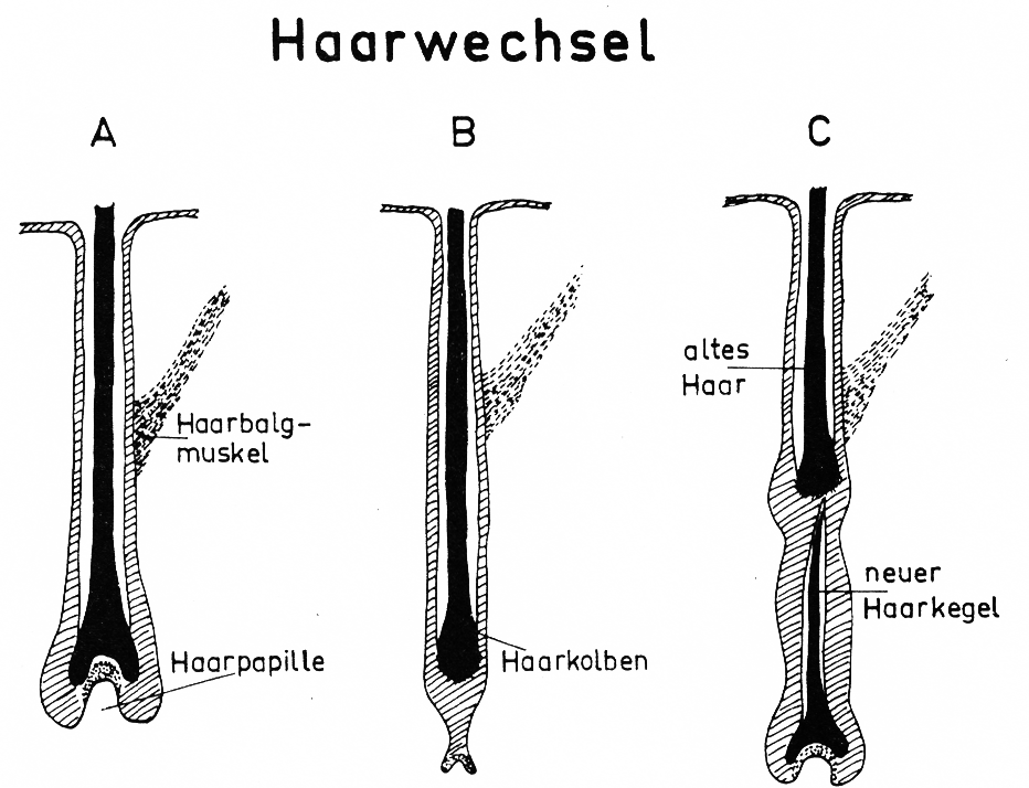 image12