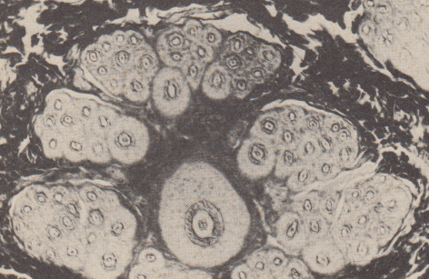image9